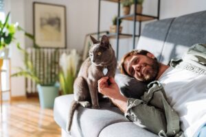 5 дивовижних фактів про котів