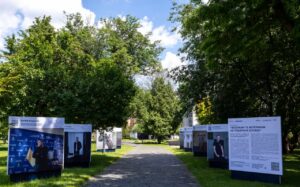 Ветерани та ветеранки на публічній службі